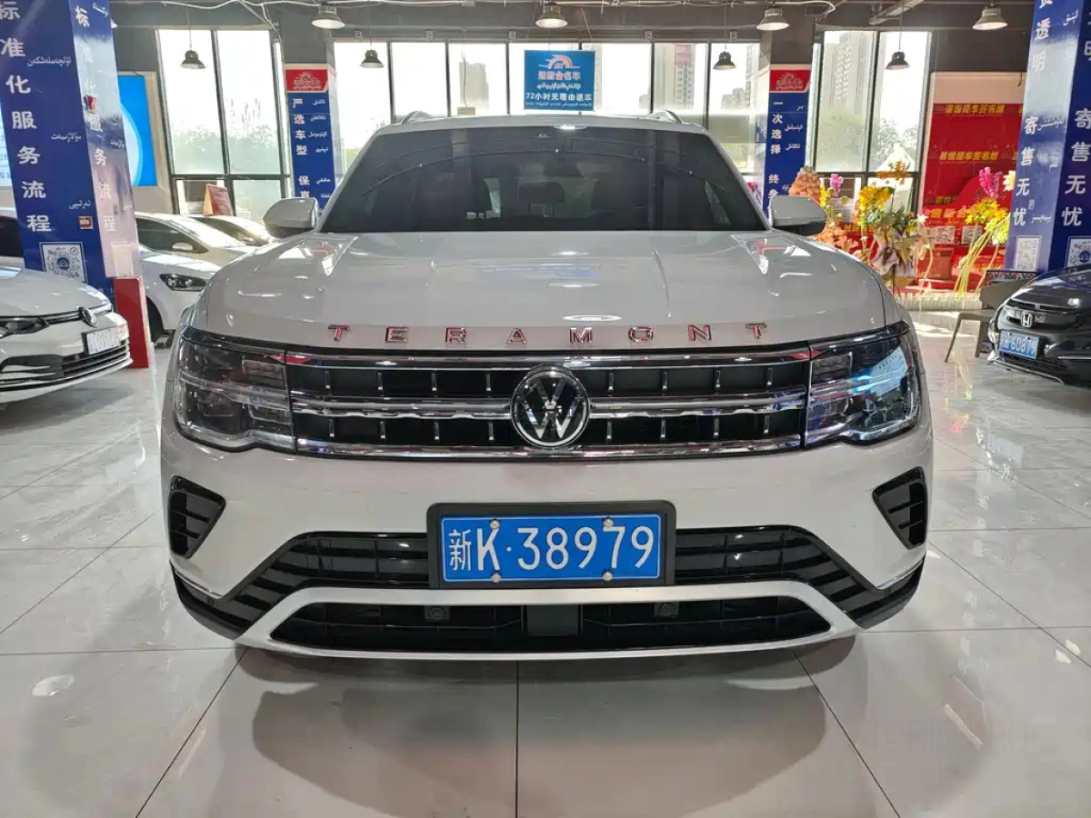 VOLKSWAGEN TERAMONT