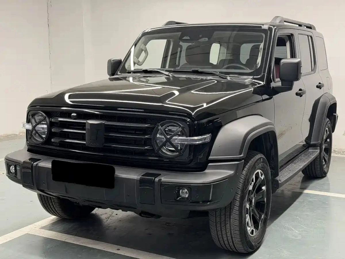 TANK 300 NEW ENERGY  2025