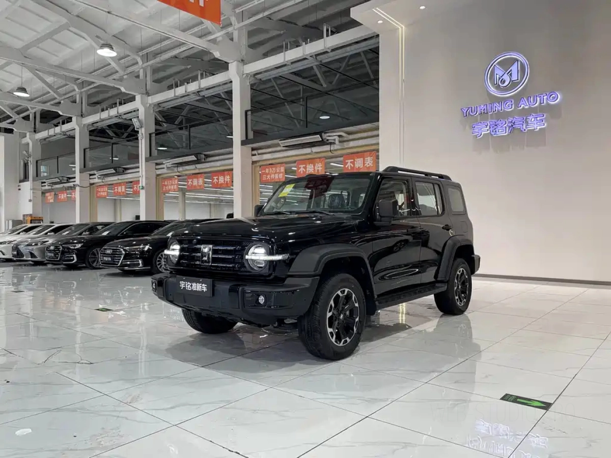 TANK 300 NEW ENERGY  2025