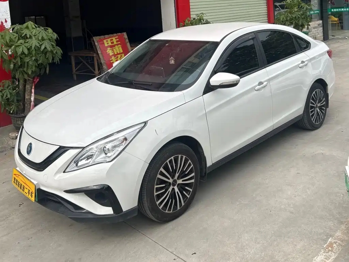 DONGFENG S50 EV  2021