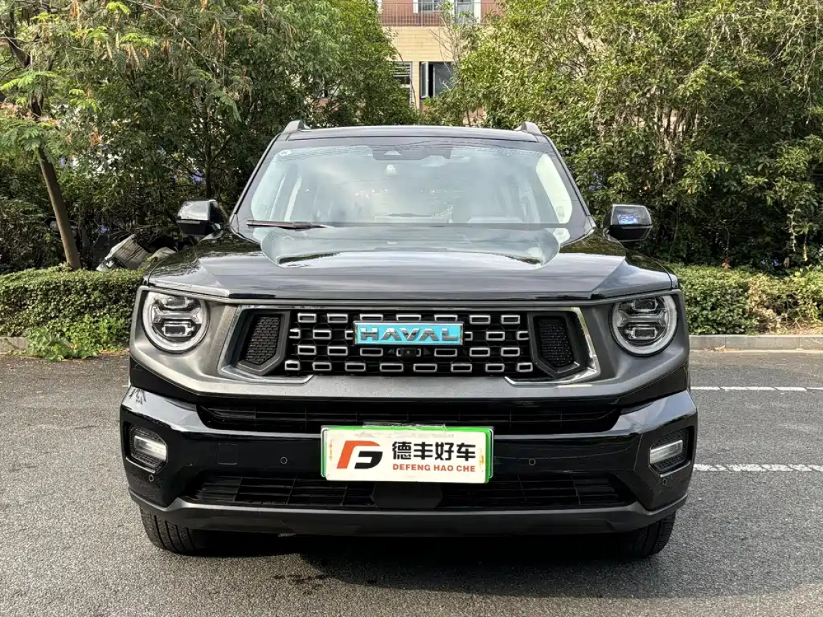 HAVAL DAGOU II NEW ENERGY