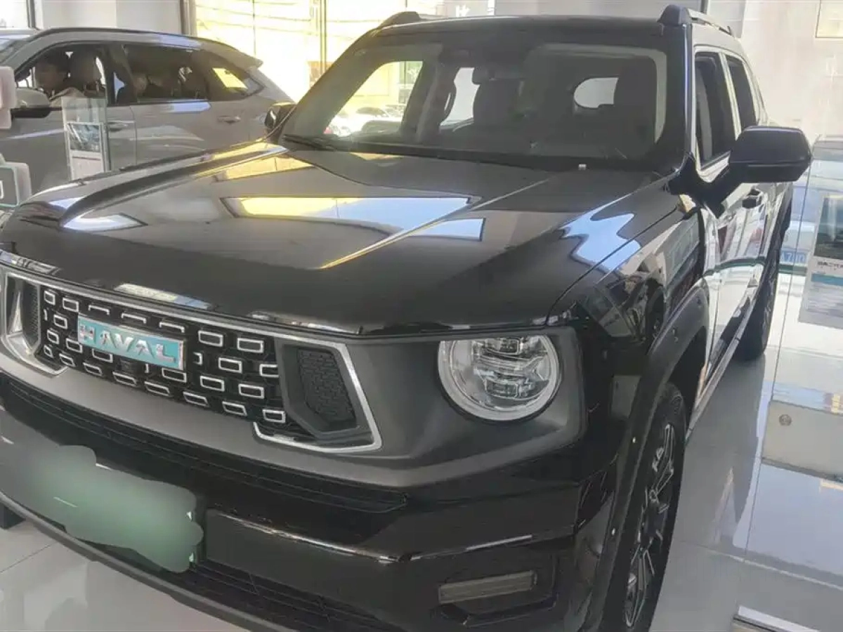 HAVAL DAGOU II NEW ENERGY  2025