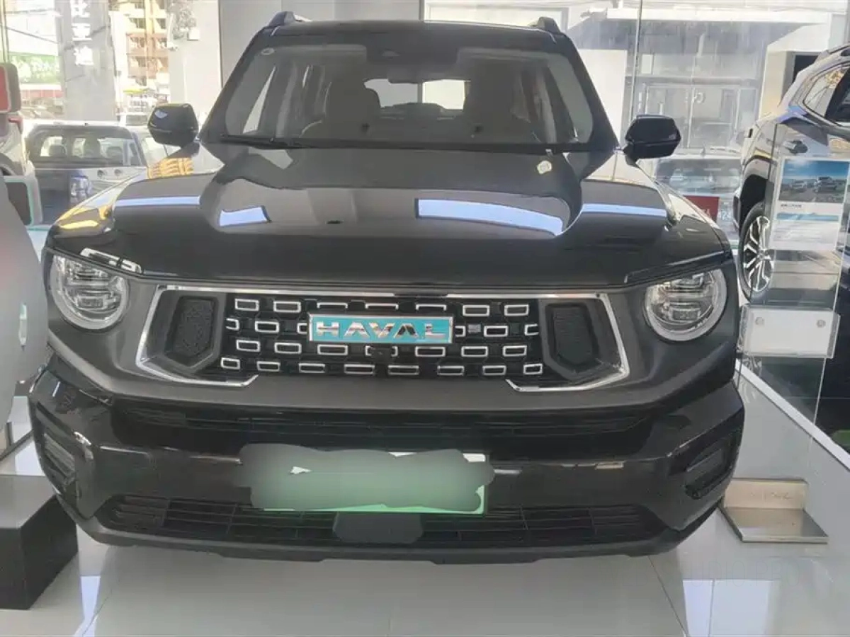 HAVAL DAGOU II NEW ENERGY