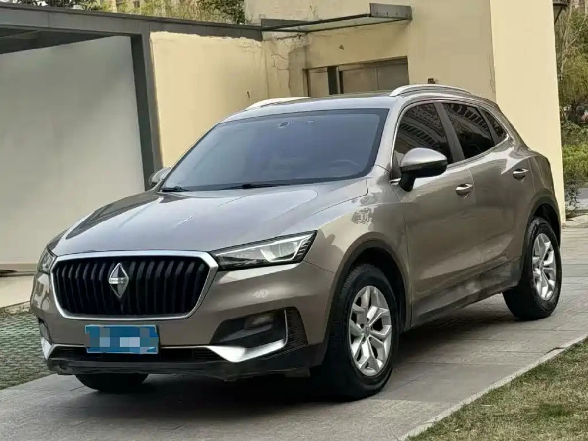 BORGWARD BX5  2019