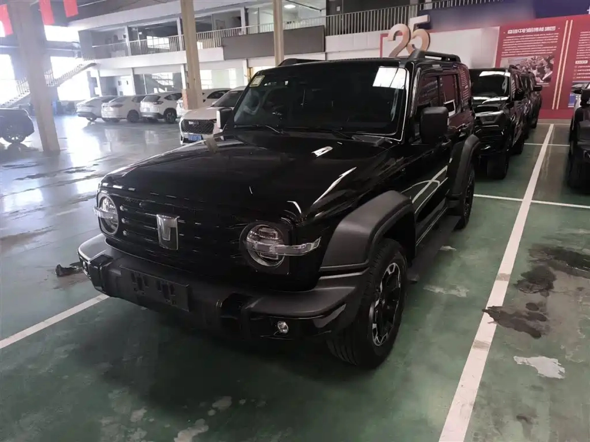 TANK 300 NEW ENERGY  2025