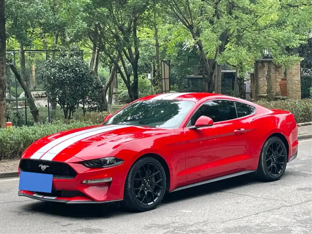 FORD MUSTANG  2019