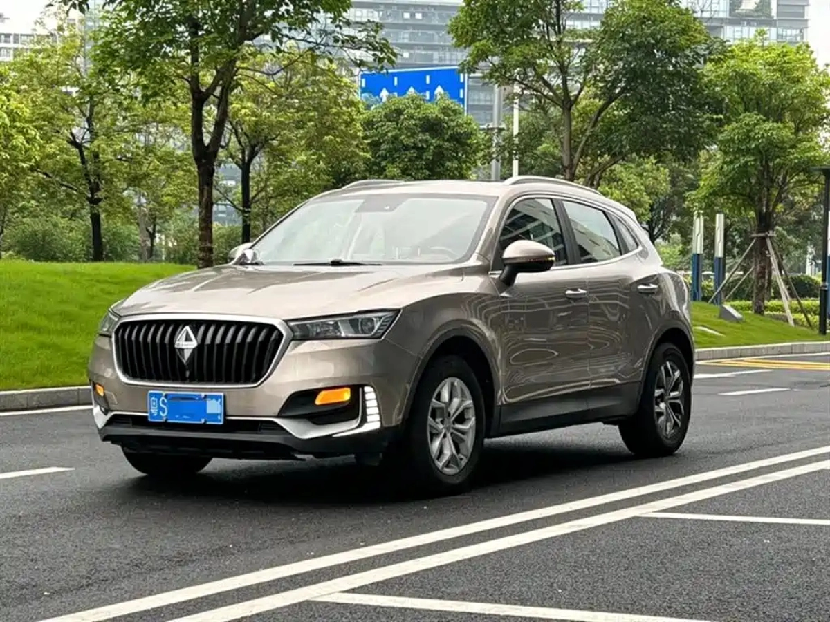 BORGWARD BX5  2019