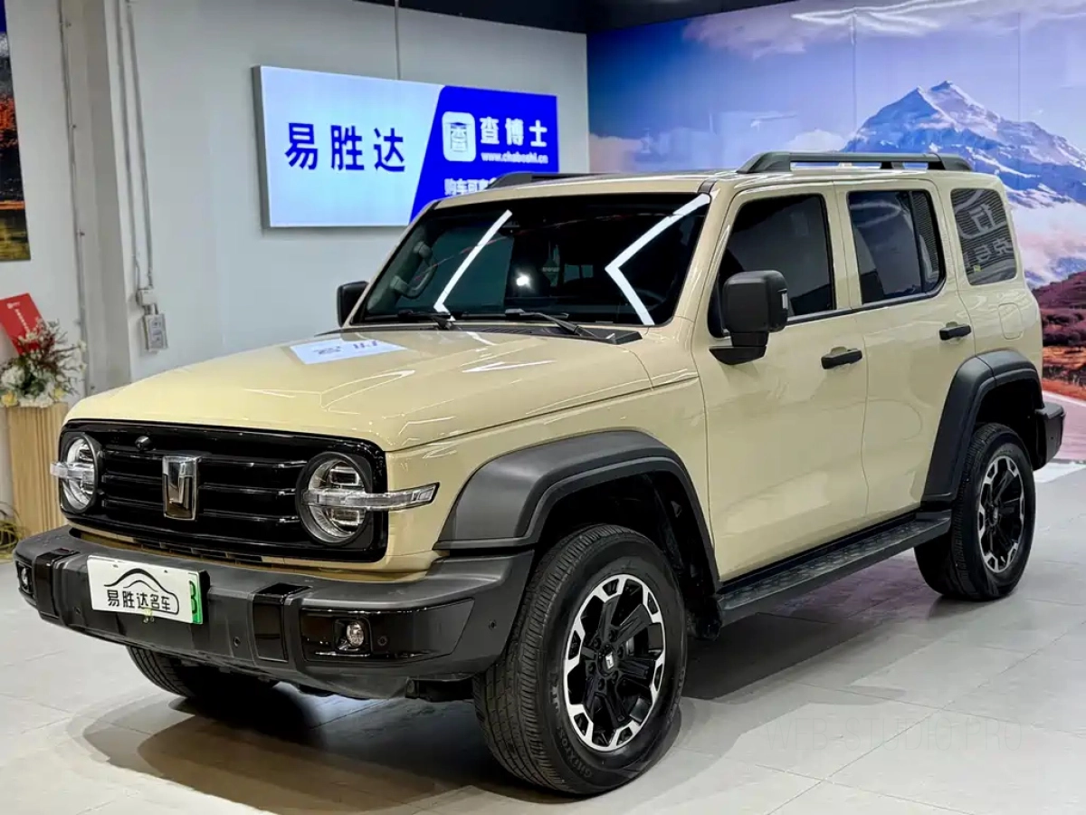 TANK 300 NEW ENERGY  2025