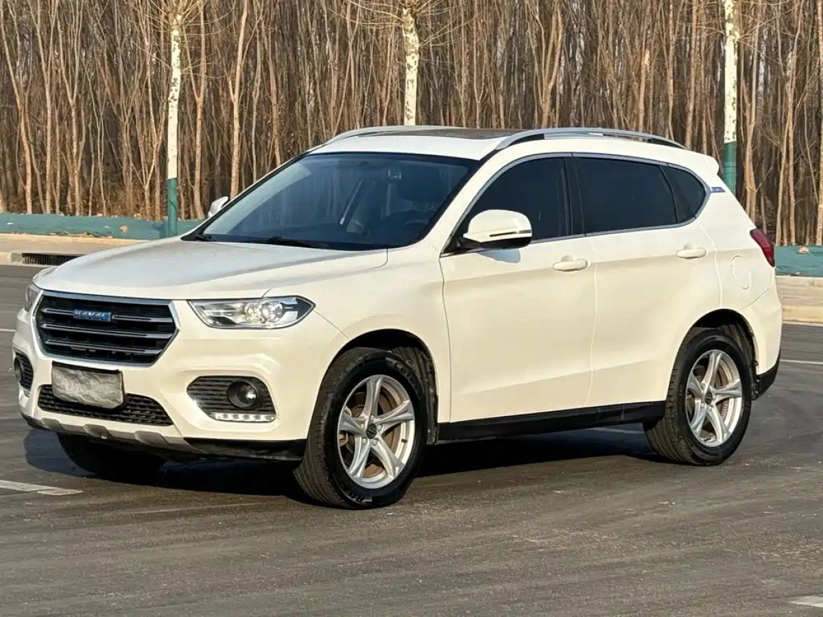 HAVAL H2