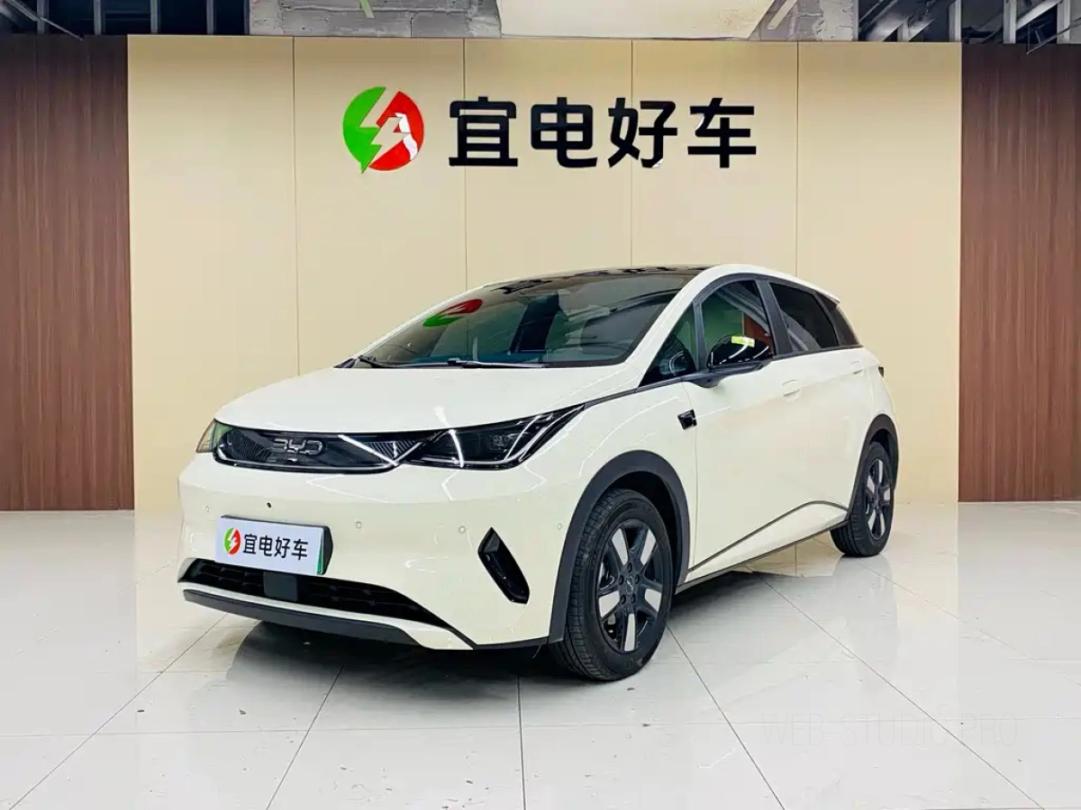 BYD DOLPHIN  2025