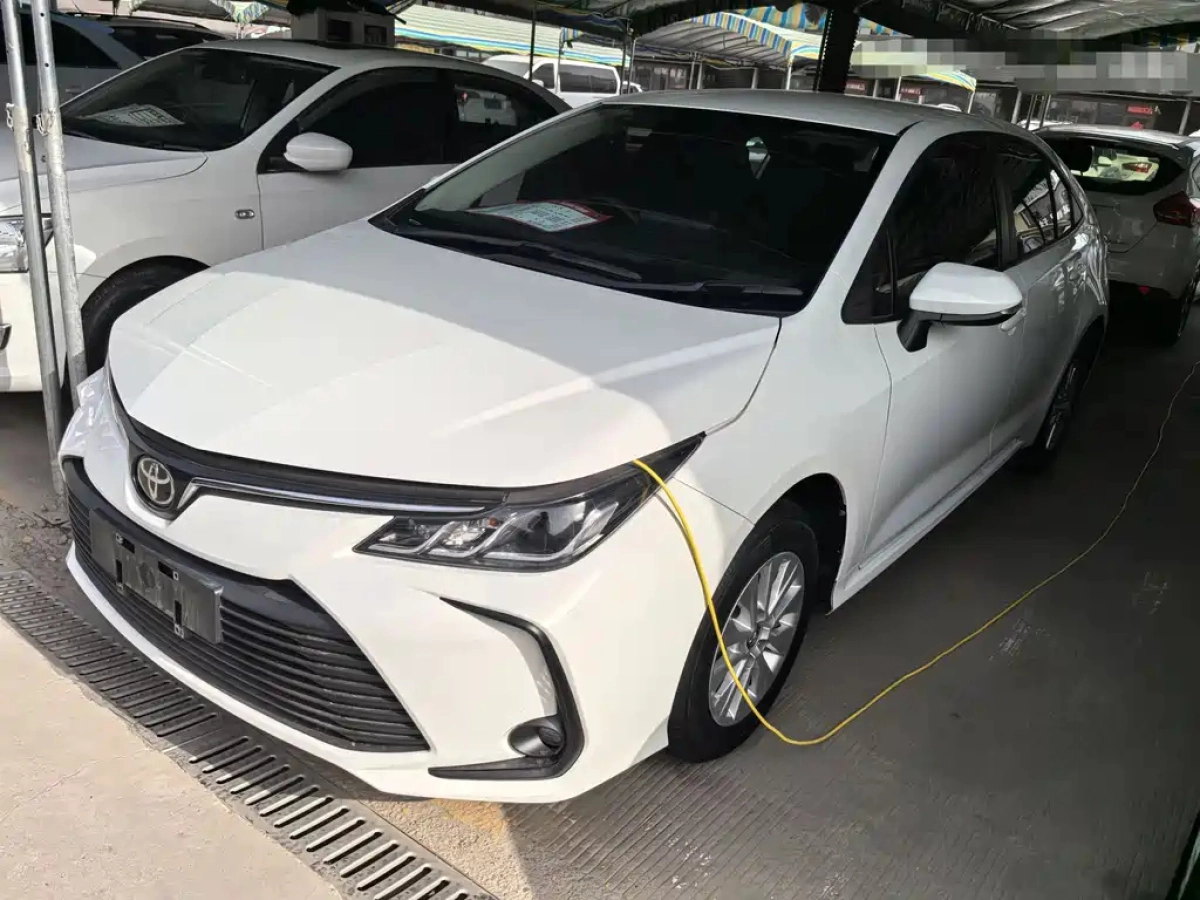 TOYOTA COROLLA  2023