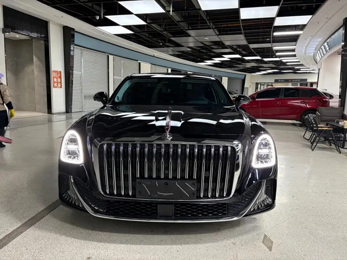 HONGQI OTHER