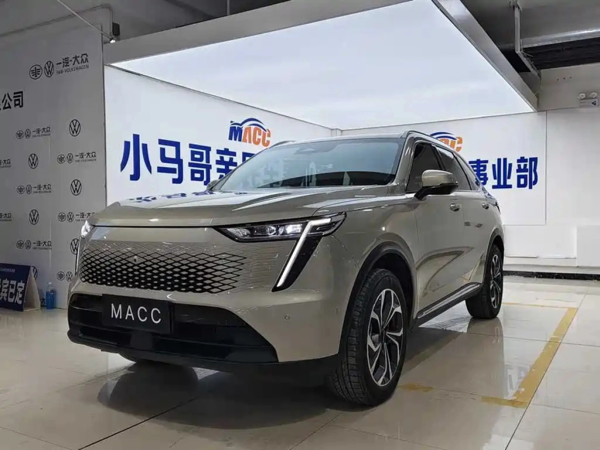 HAVAL XIAOLONG  2024