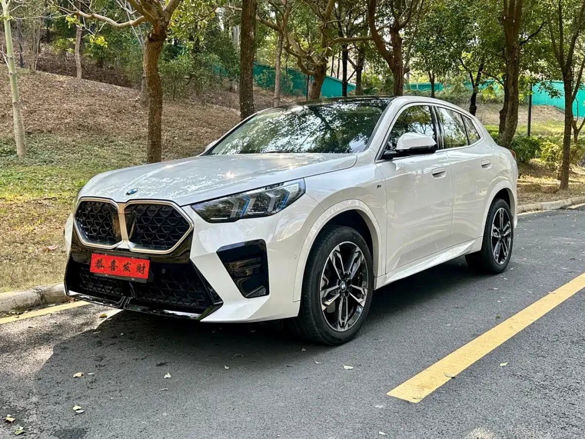 BMW X2 IMPORT  2025