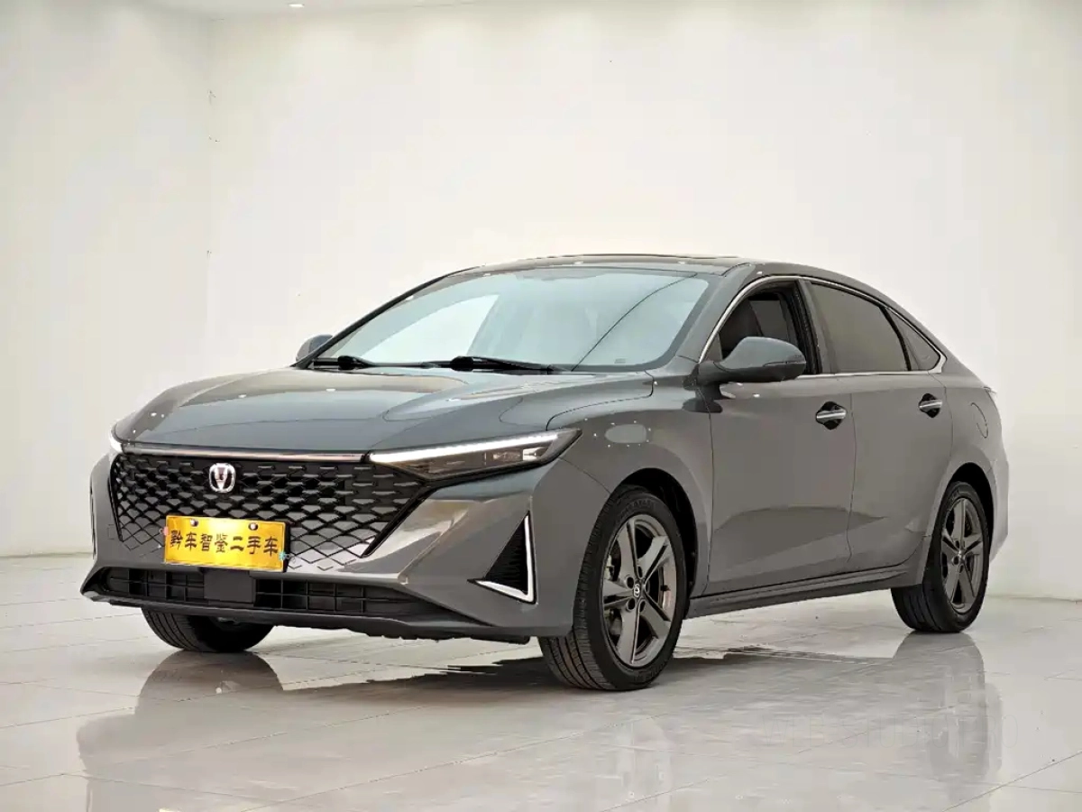 CHANGAN RAETON PLUS  2023