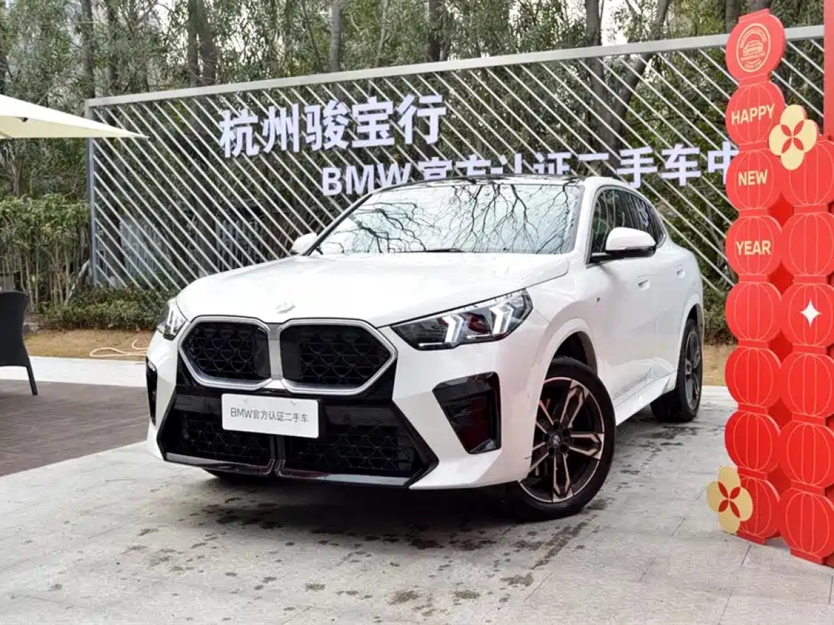 BMW X2 IMPORT  2024