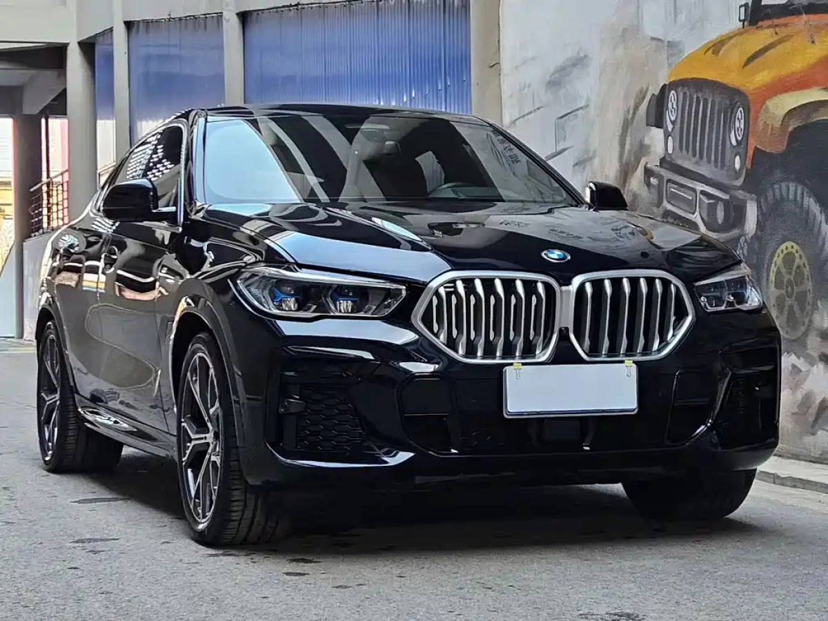 BMW X6