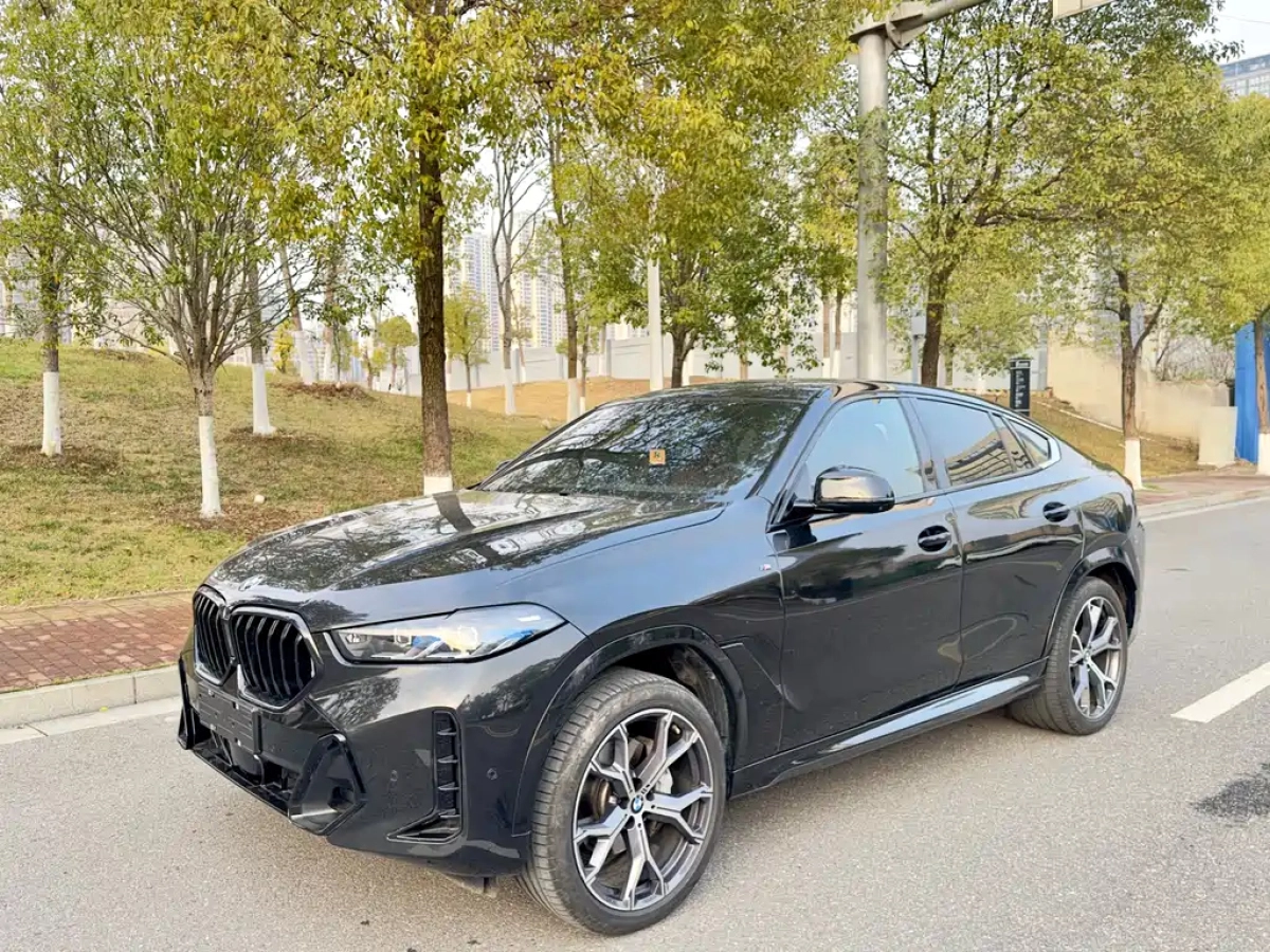 BMW X6  2024