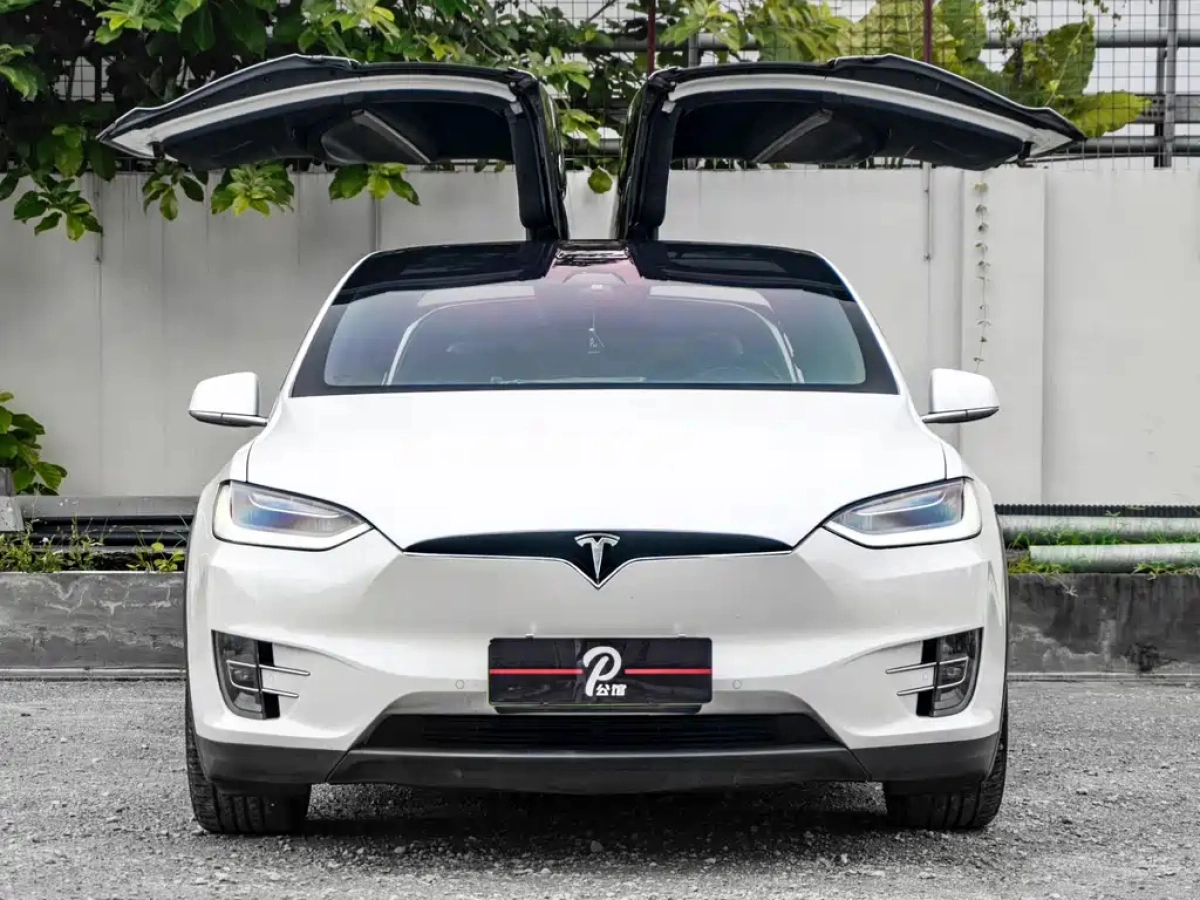 TESLA MODEL X