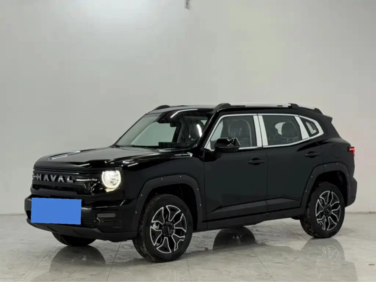 HAVAL DAGOU II NEW ENERGY  2026