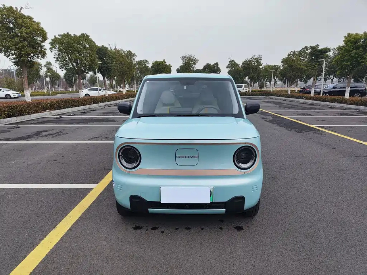 GEELY AUTO PANDA