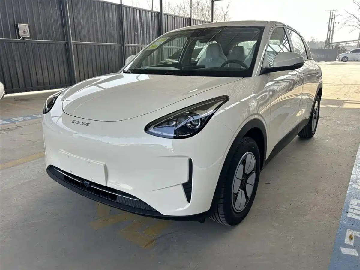 GEELY AUTO XINGYUAN