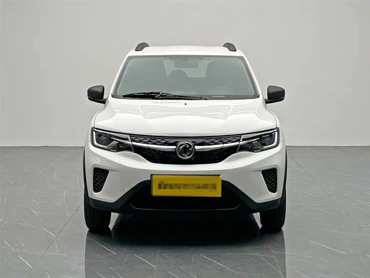 OTHER DONGFENG NAMMI EX1