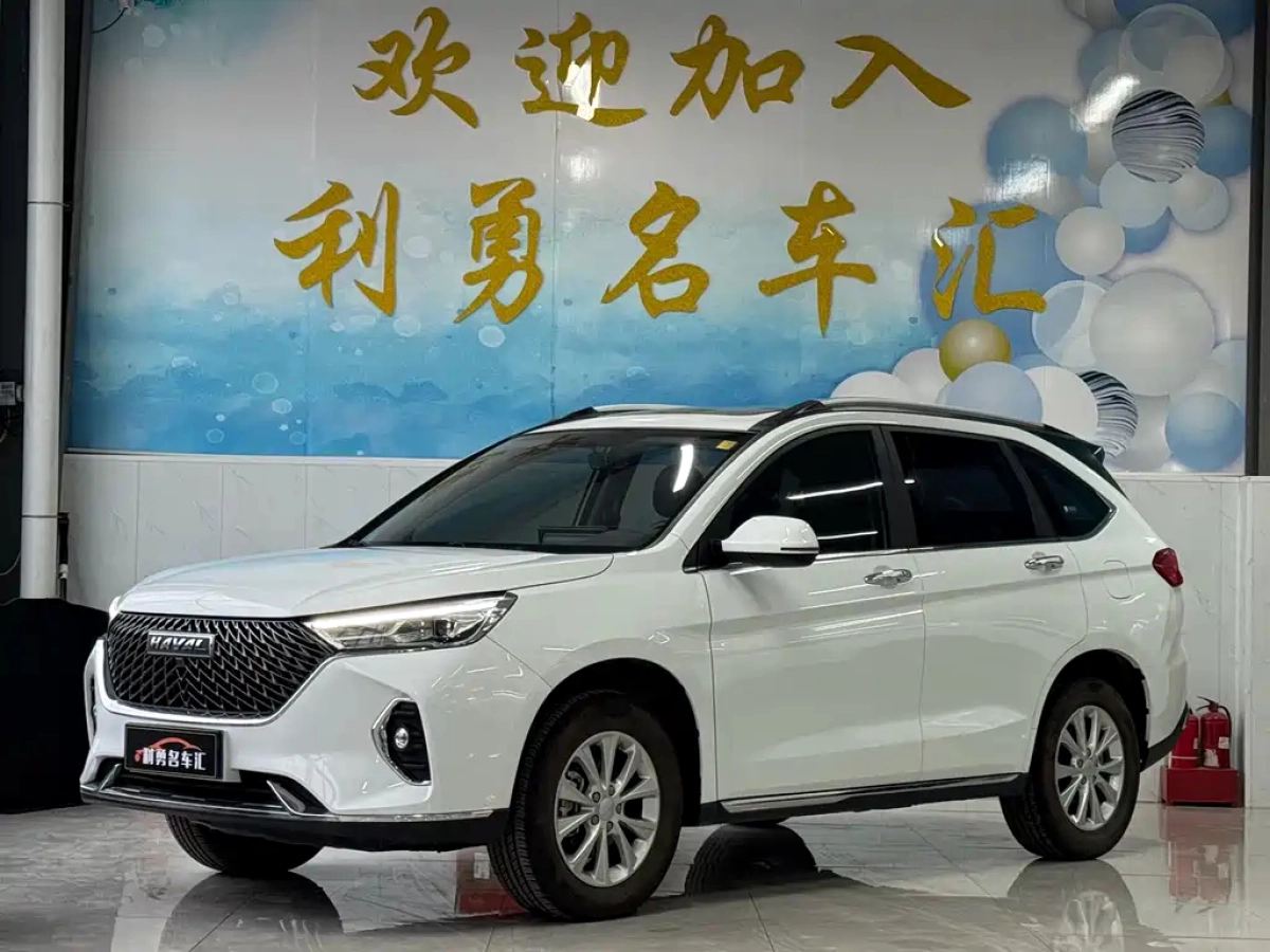 HAVAL M6