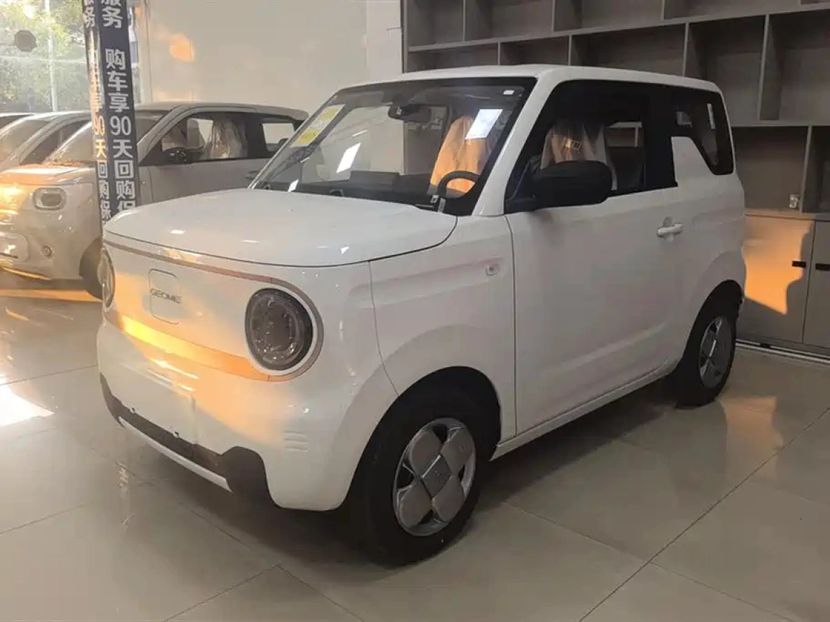 GEELY AUTO PANDA