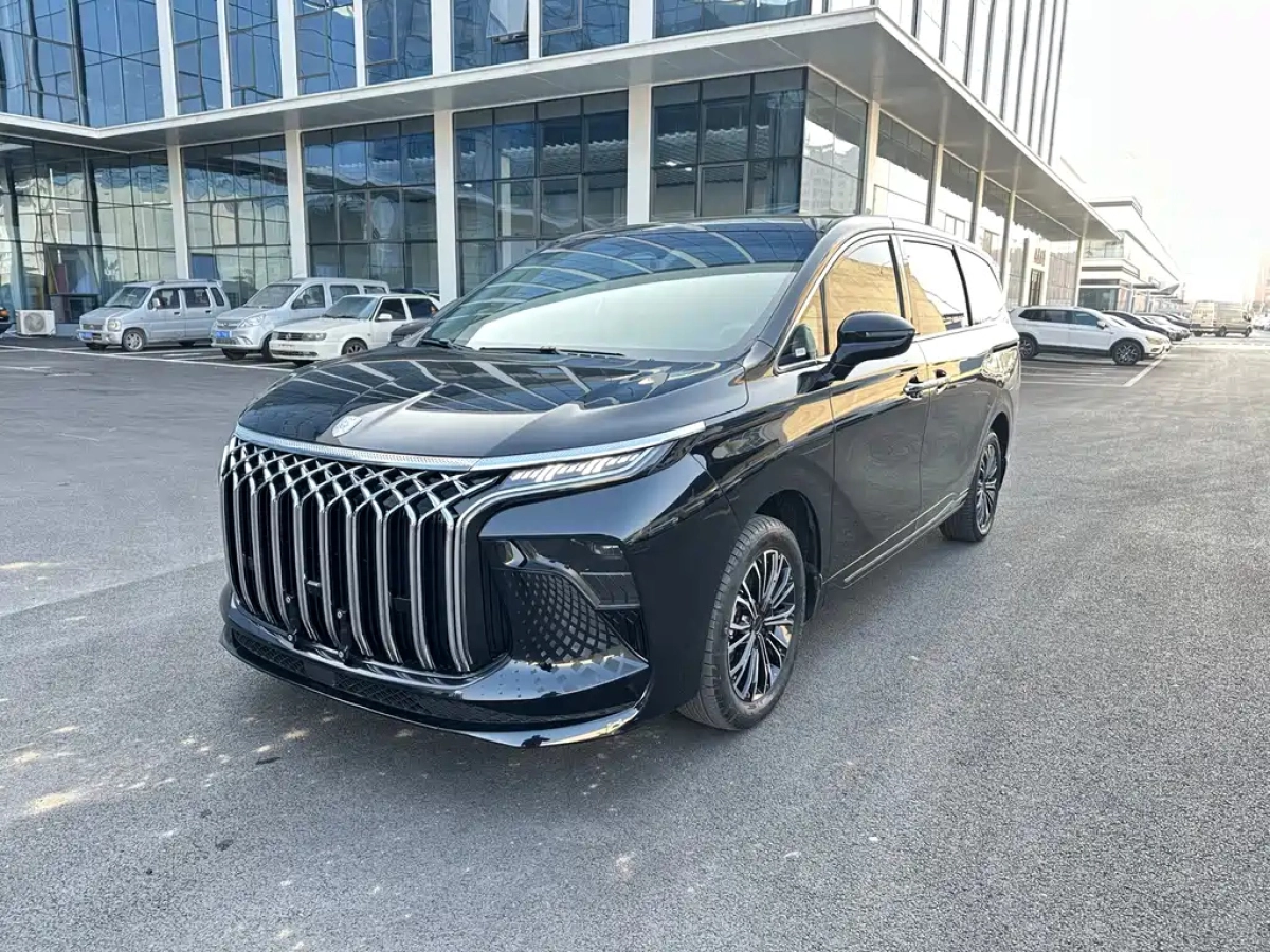 DONGFENG XINGHAI V9  2024