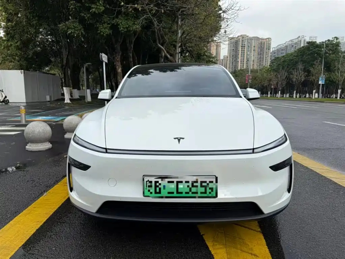 TESLA OTHER