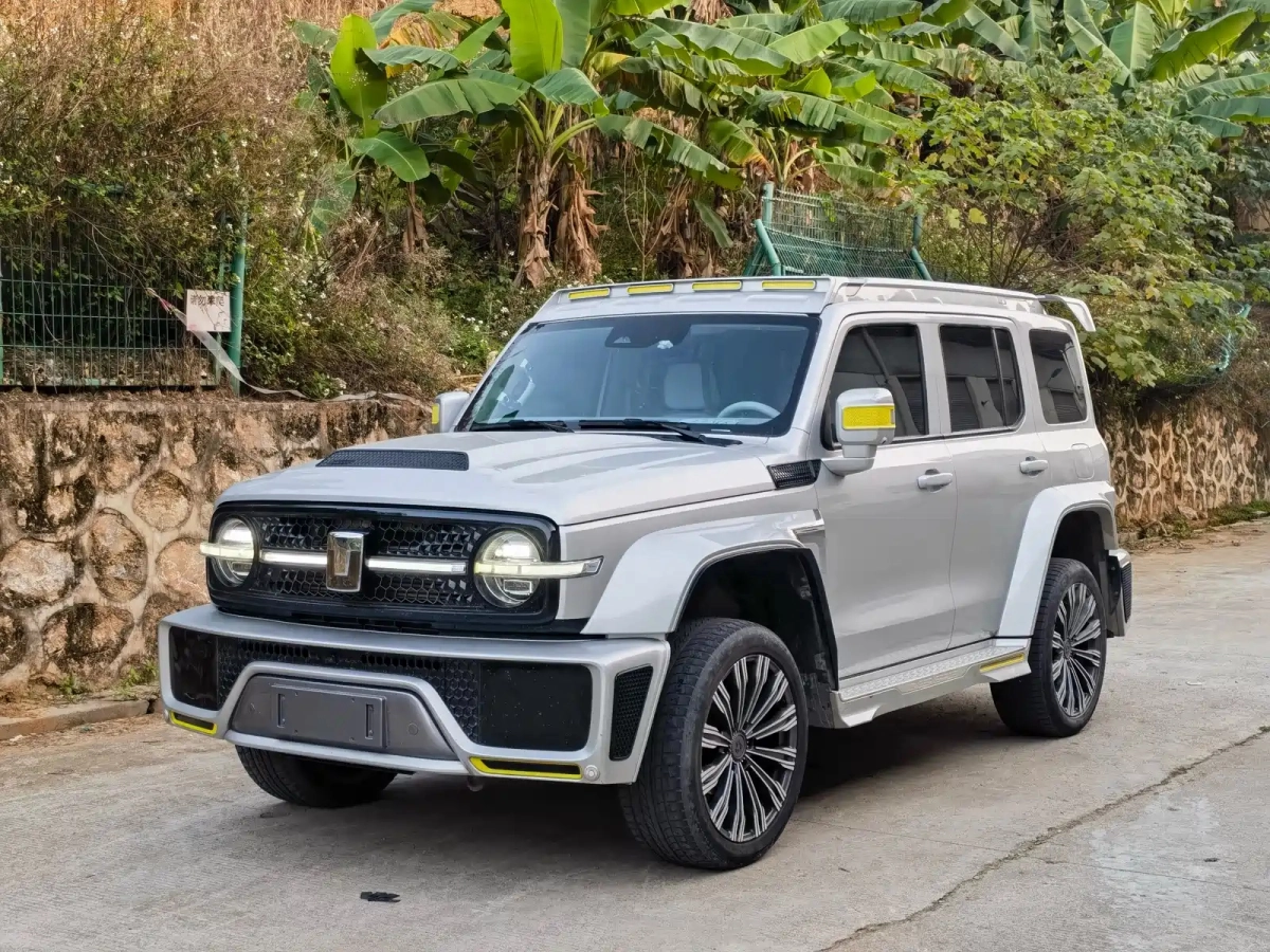 CHAOJING AUTO TANK 300  2022