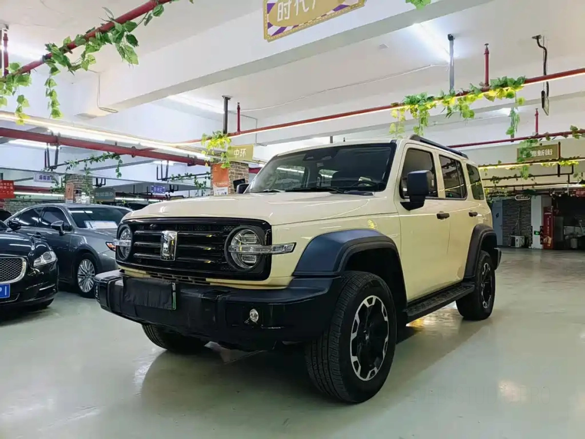 TANK 300 NEW ENERGY  2025