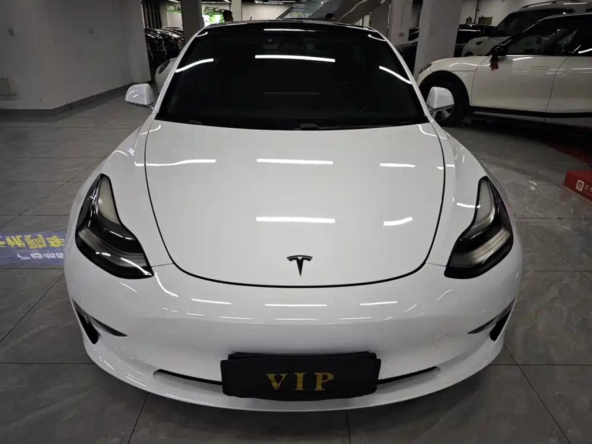 TESLA MODEL 3 IMPORT