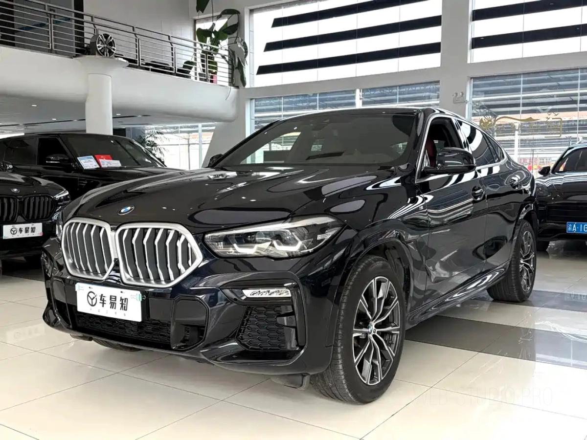 BMW X6  2021