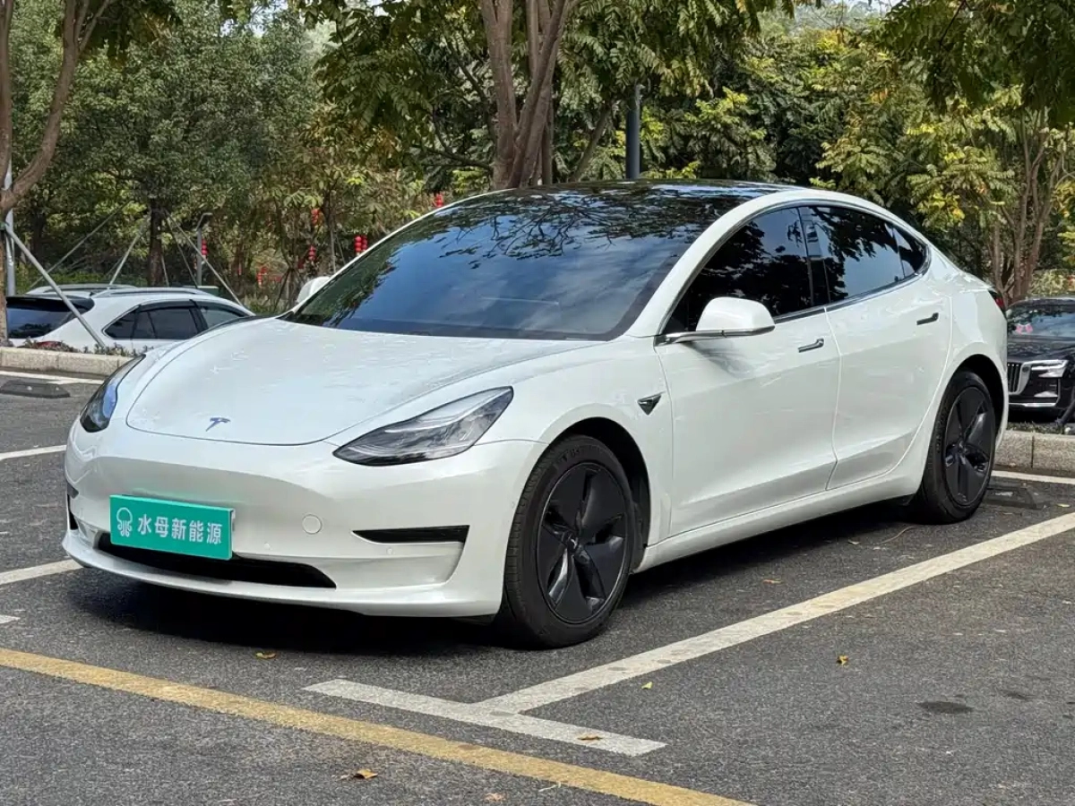 TESLA MODEL 3 IMPORT