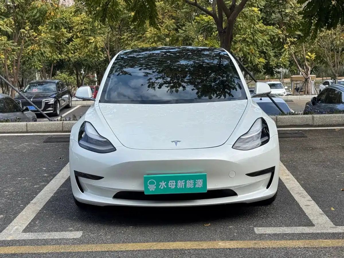 TESLA MODEL 3 IMPORT