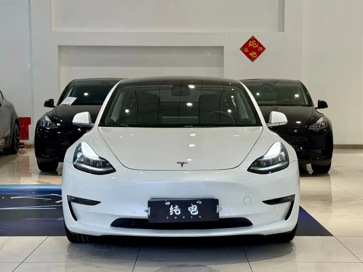 TESLA MODEL 3 IMPORT