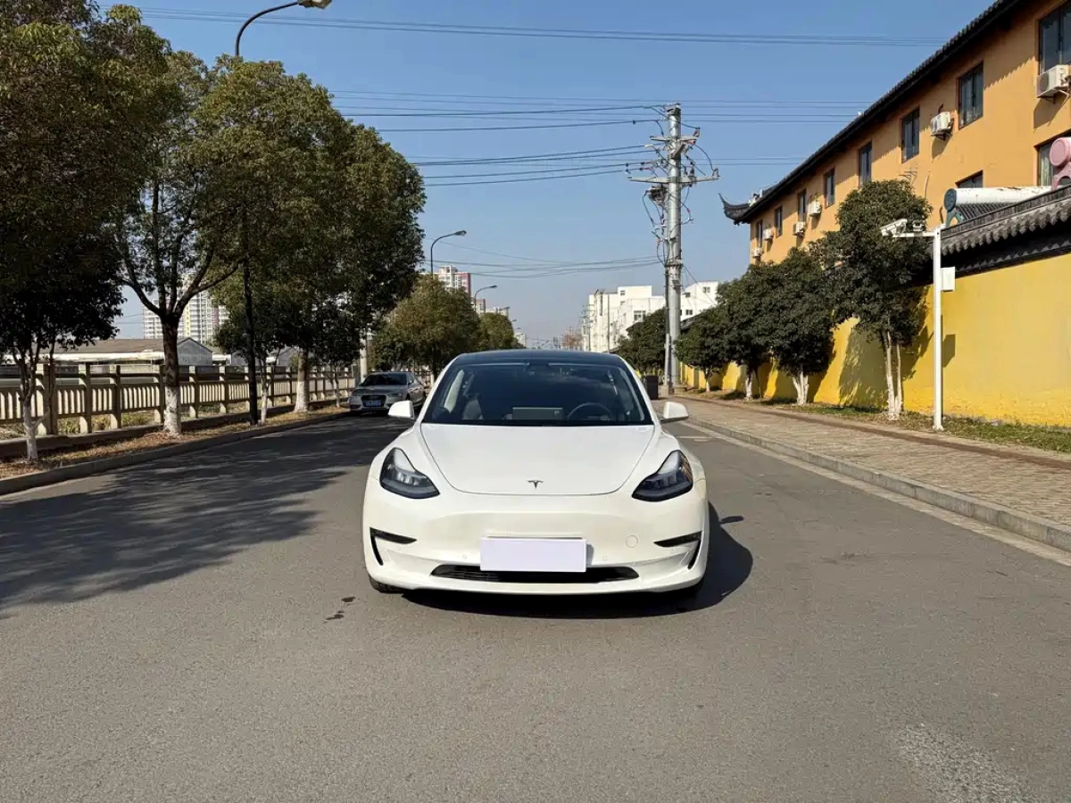 TESLA MODEL 3 IMPORT