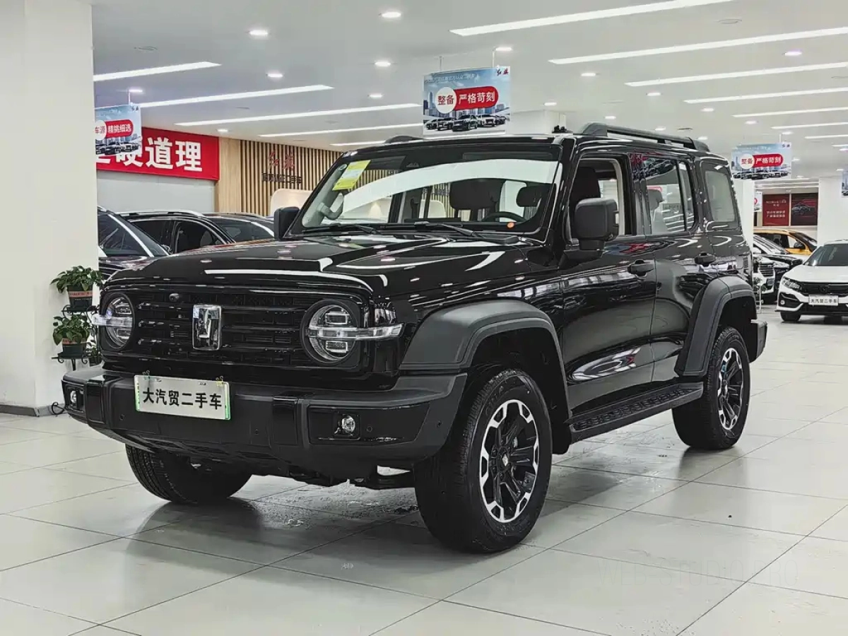 TANK 300 NEW ENERGY  2025