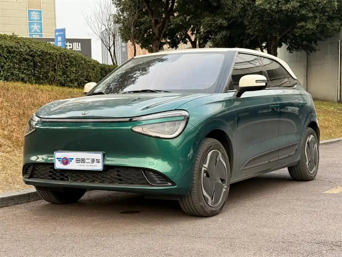 OTHER NAMMI 01  2025