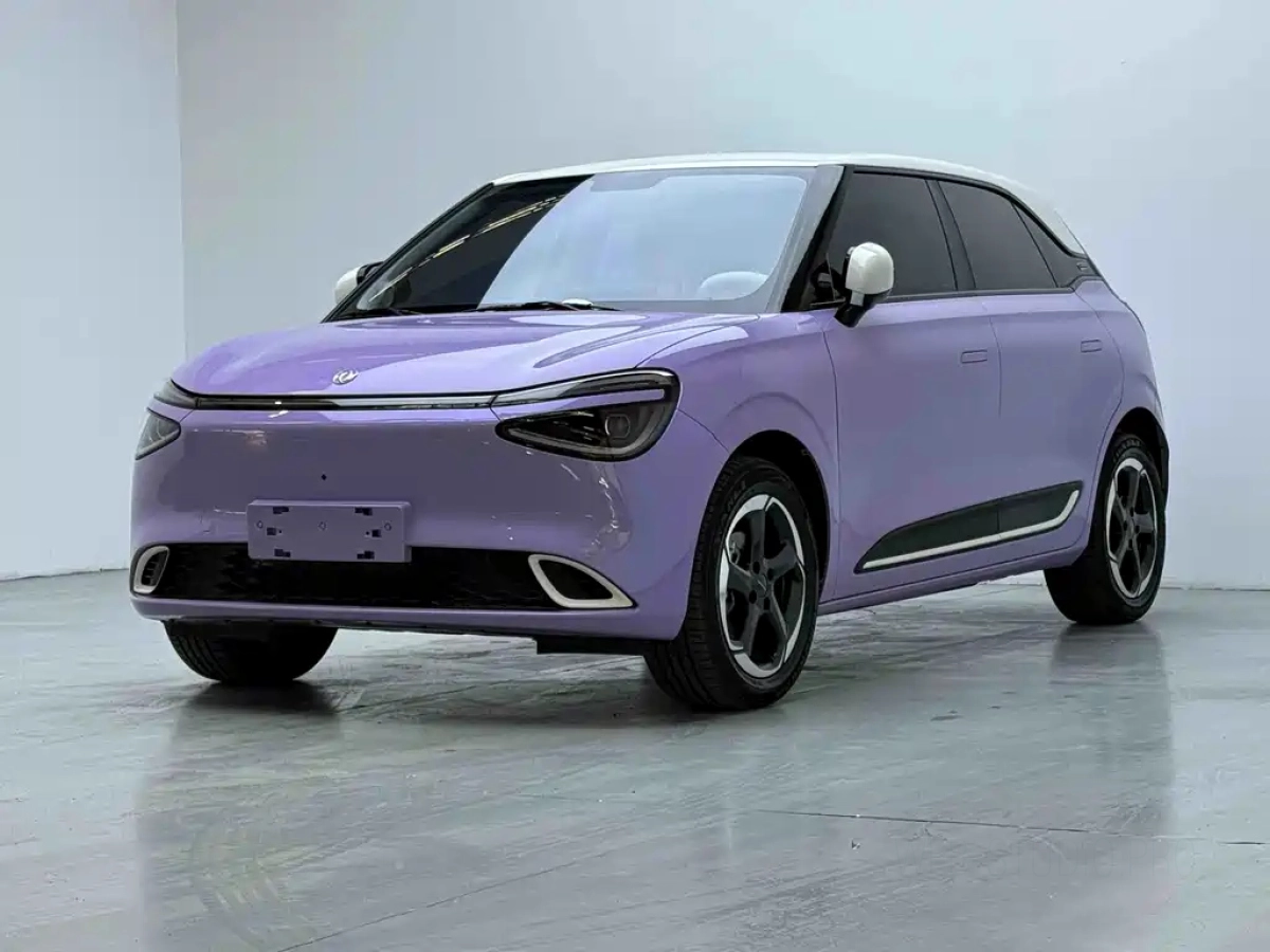 OTHER NAMMI 01  2025