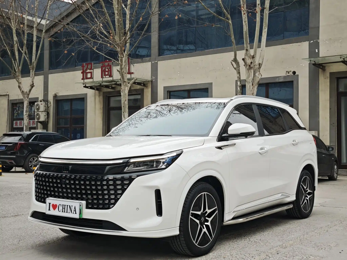 DONGFENG LAND E5  2024