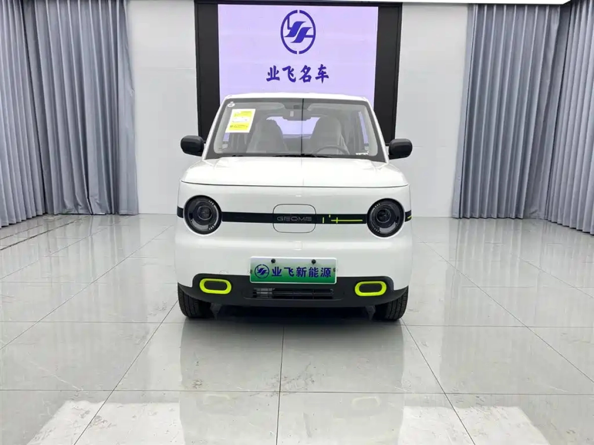 GEELY AUTO PANDA