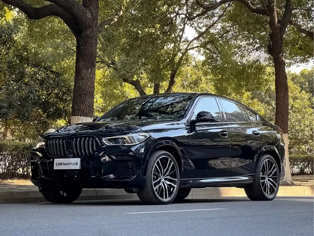 BMW X6  2023