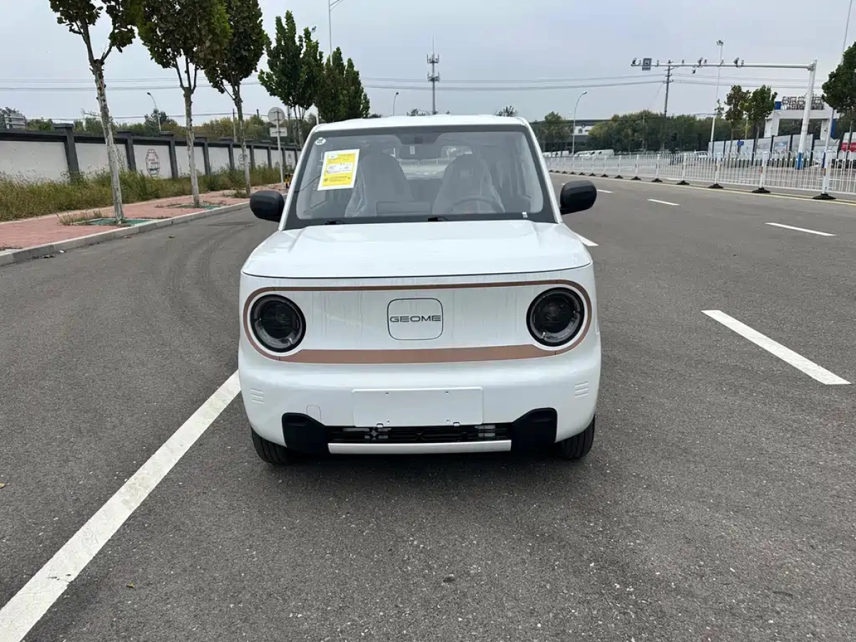 GEELY AUTO PANDA