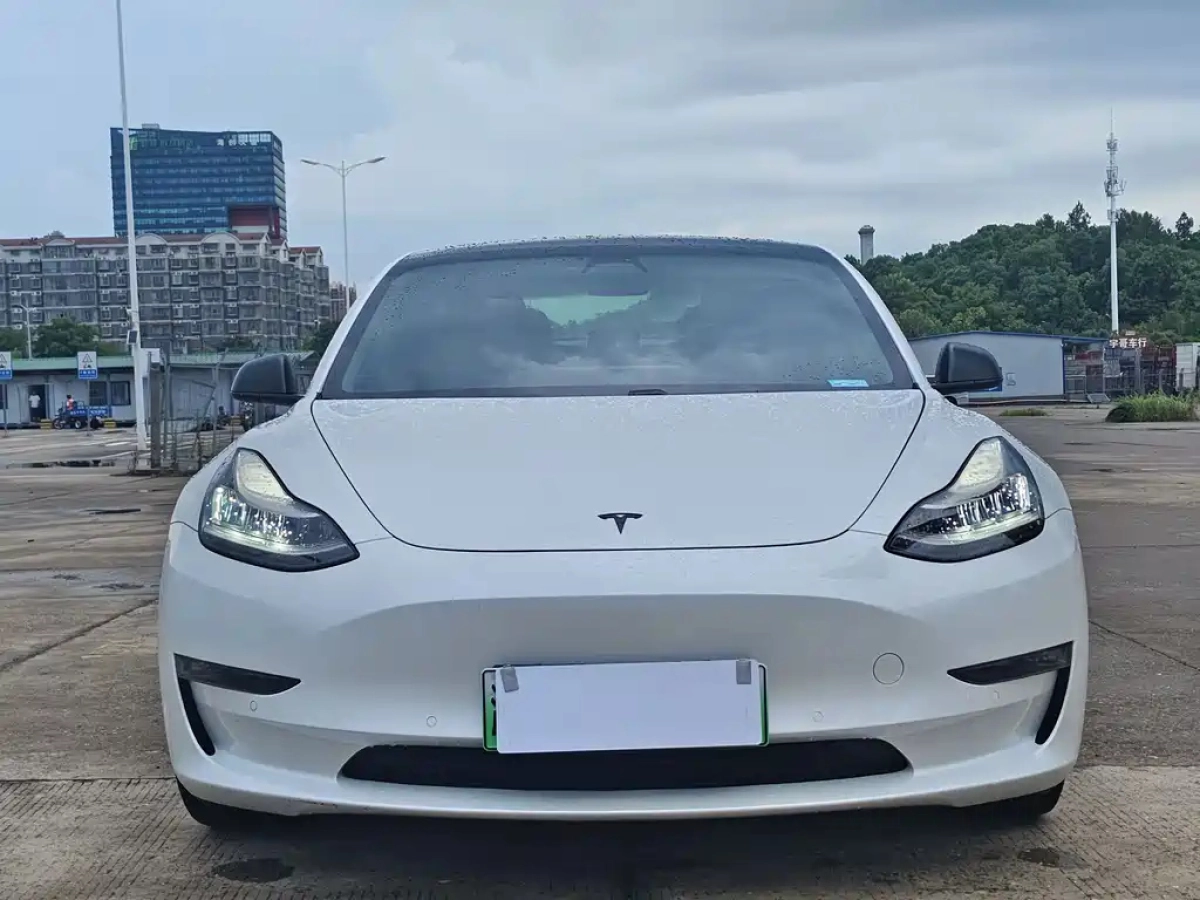 TESLA MODEL 3 IMPORT