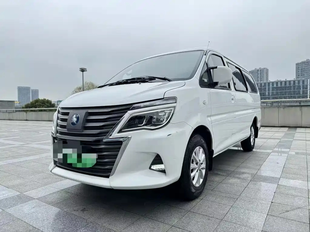 DONGFENG LINGZHI M5EV  2024