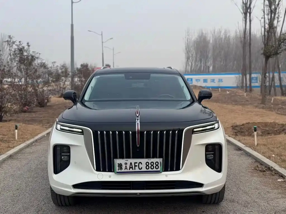 HONGQI E-HS9