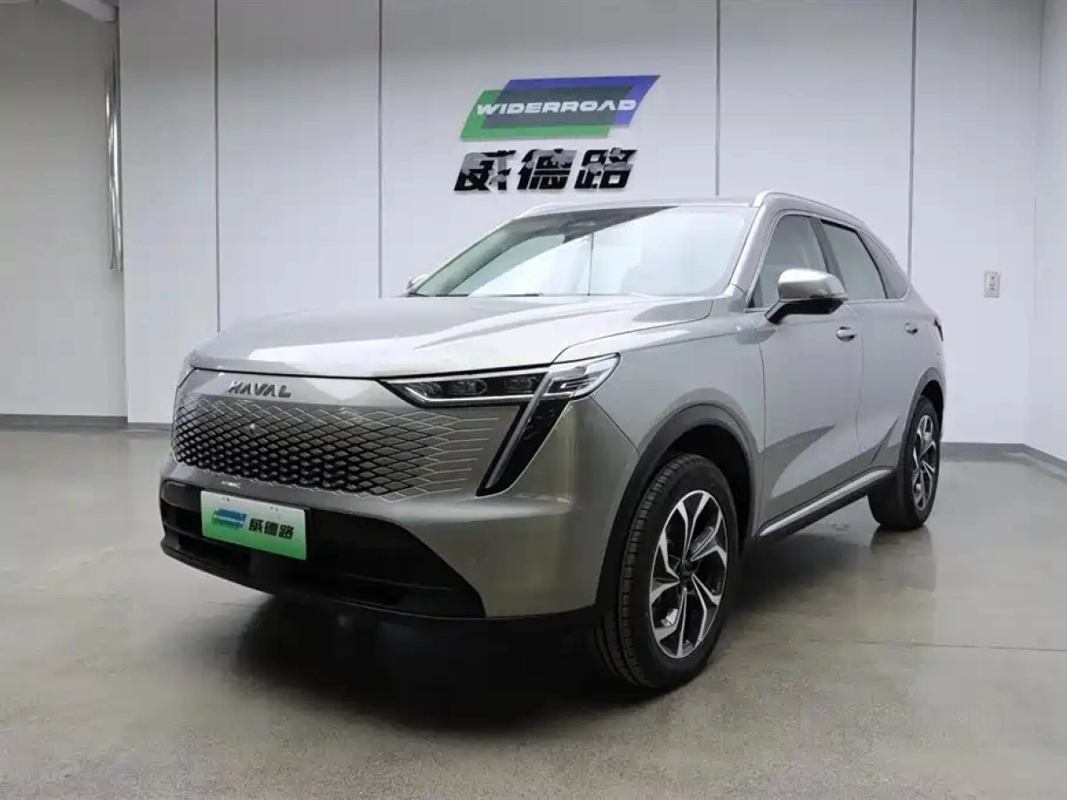 HAVAL XIAOLONG MAX  2023